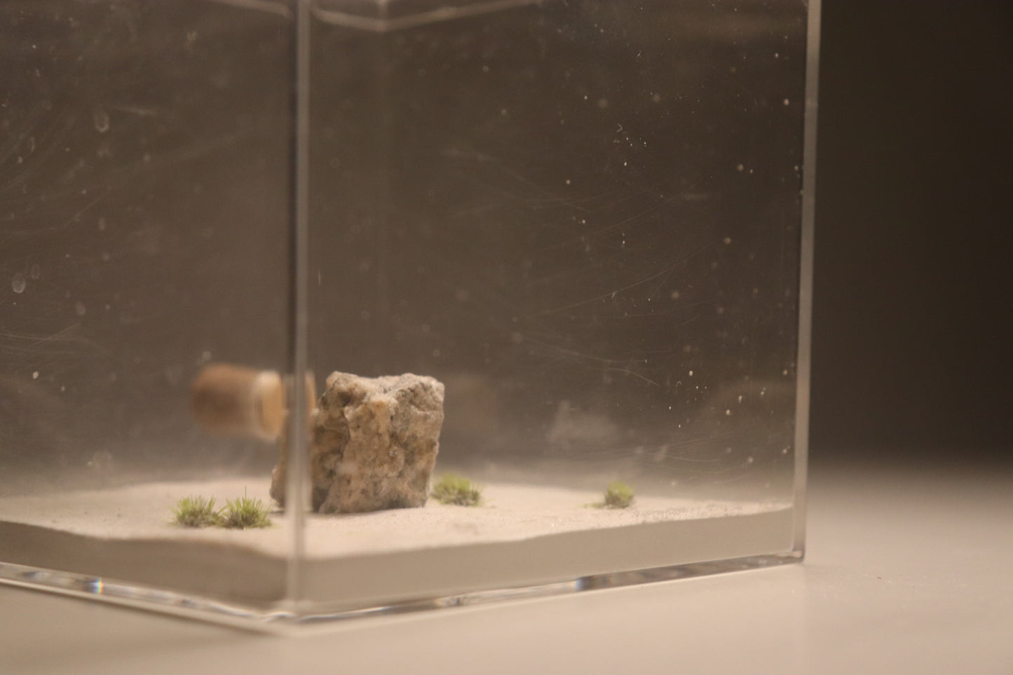 Dunefield Outworld: Ancient Stone