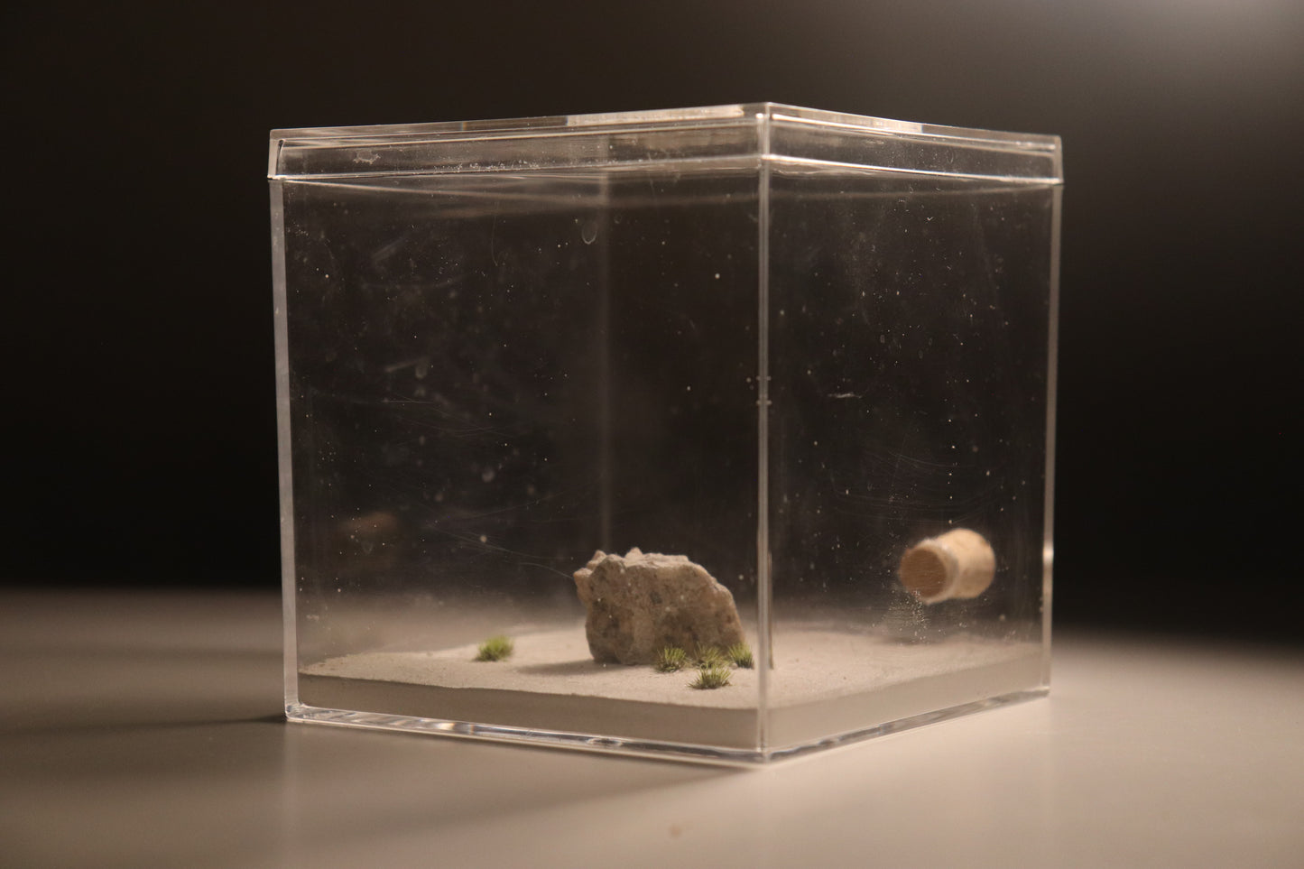 Dunefield Outworld: Ancient Stone