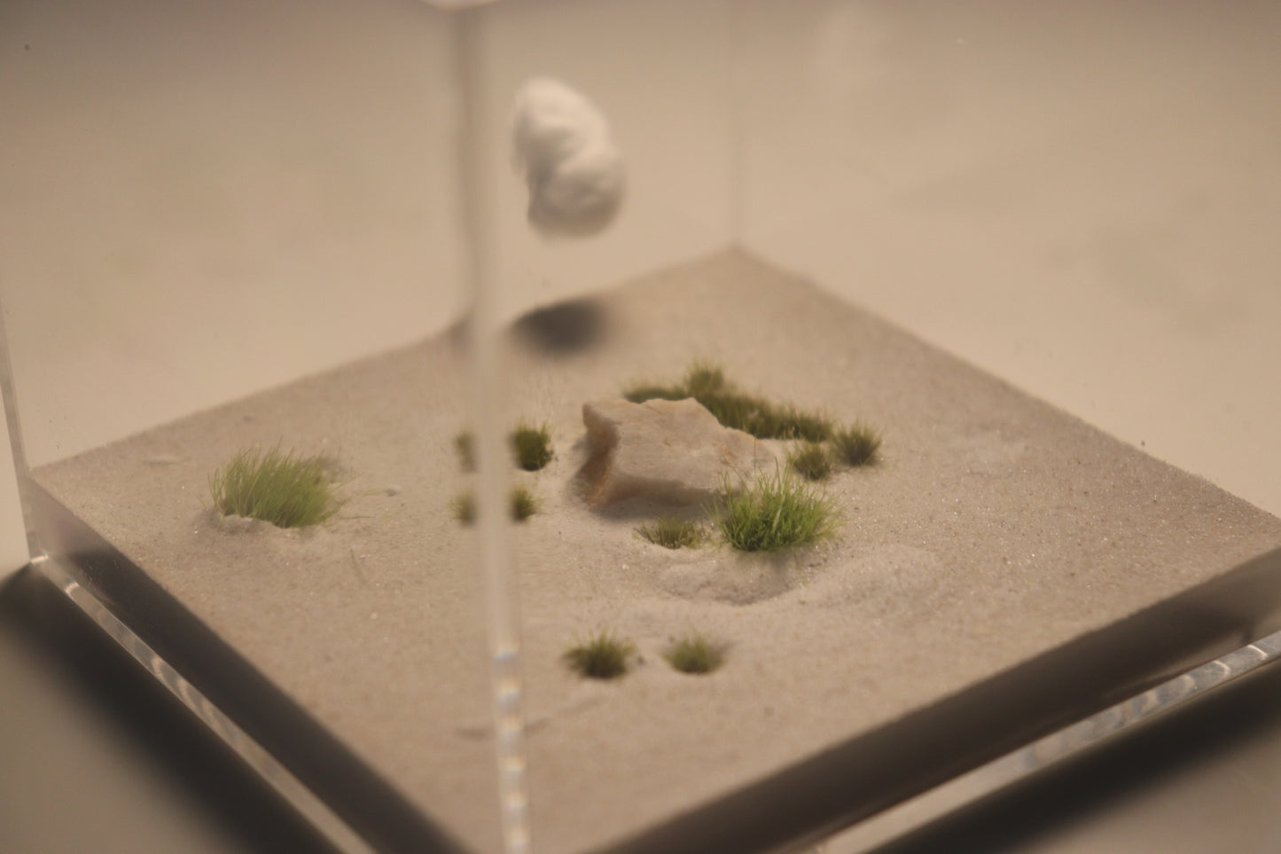 Dunefield Outworld: Ancient Stone "Overgrown"