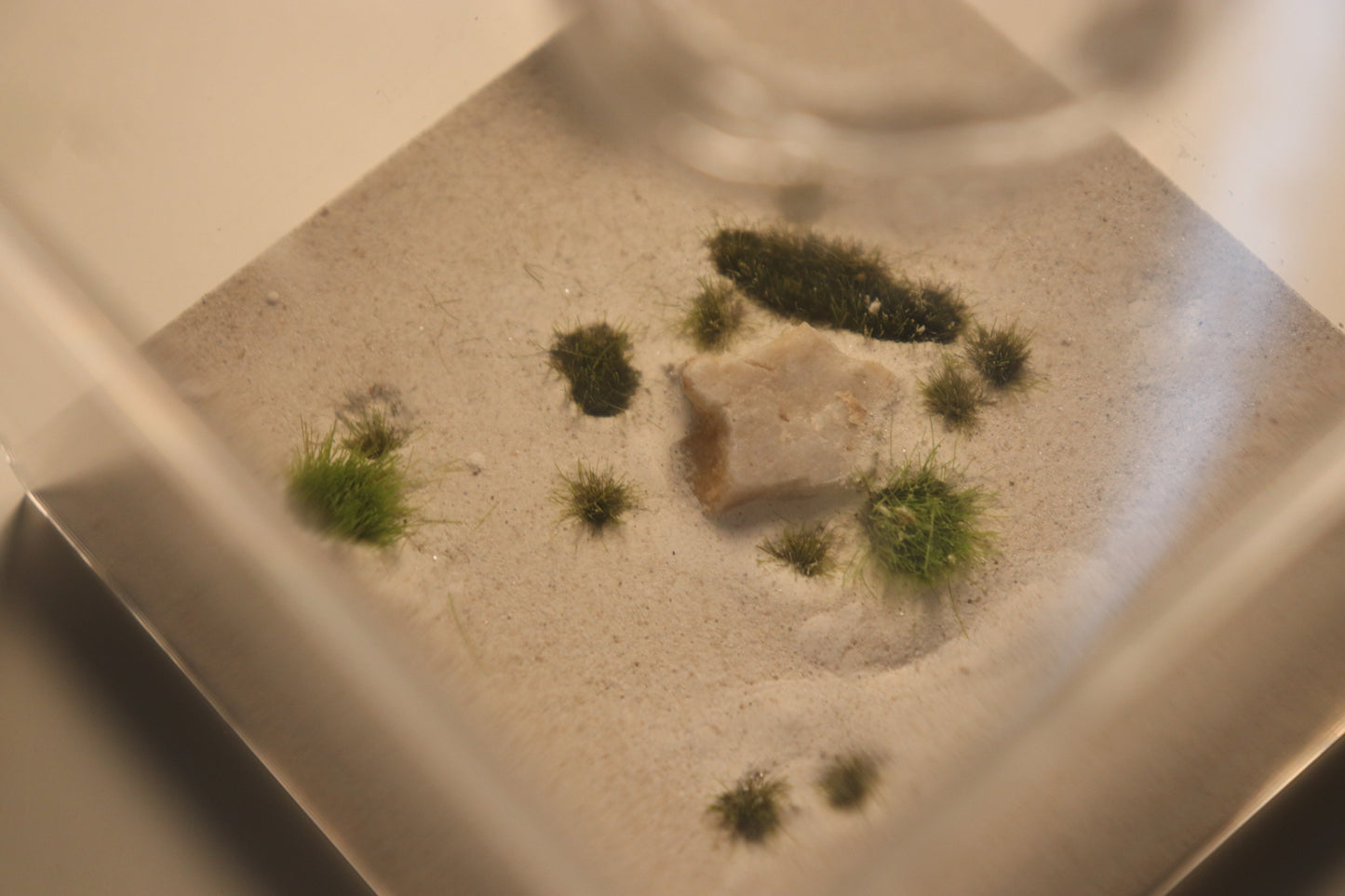 Dunefield Outworld: Ancient Stone "Overgrown"