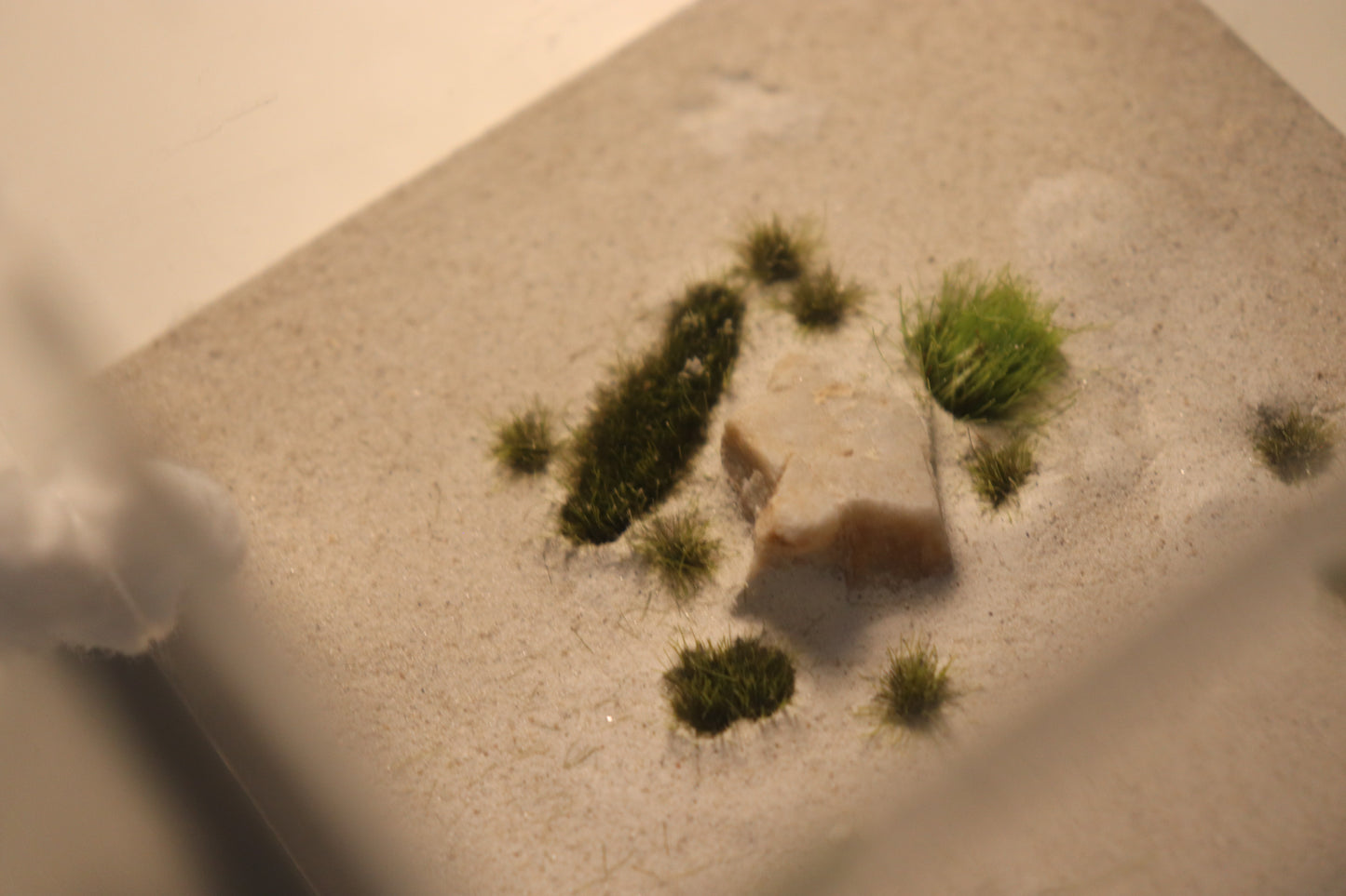 Dunefield Outworld: Ancient Stone "Overgrown"