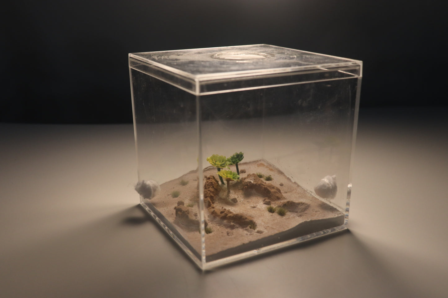 Arid Desert Outworld: Crest of Atlas