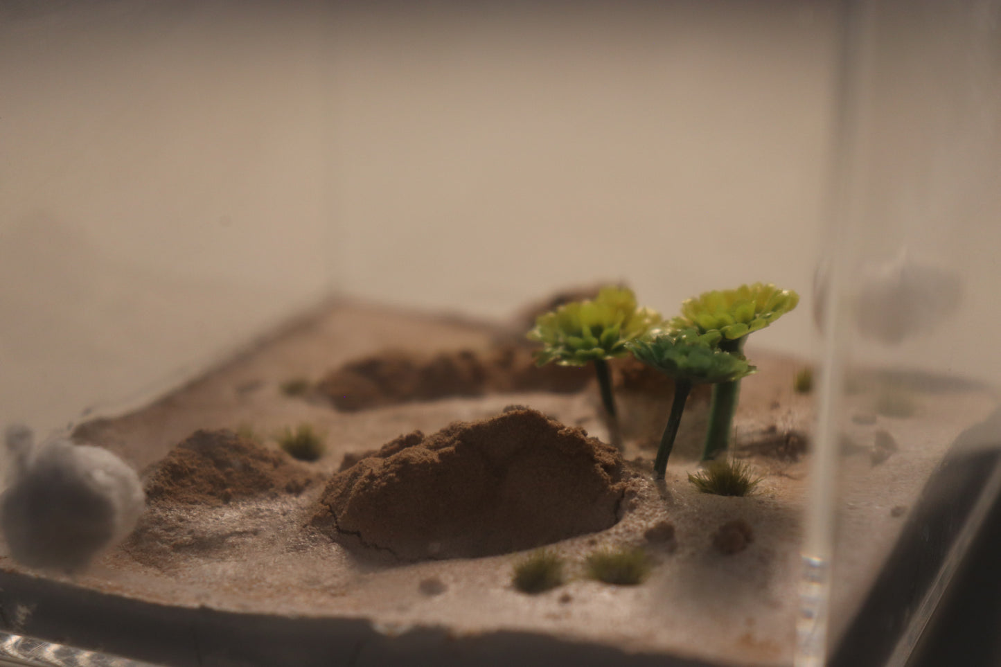 Arid Desert Outworld: Crest of Atlas