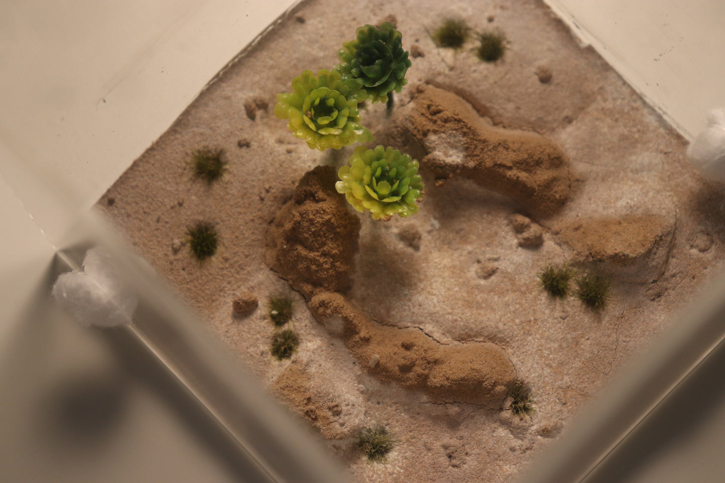 Arid Desert Outworld: Crest of Atlas