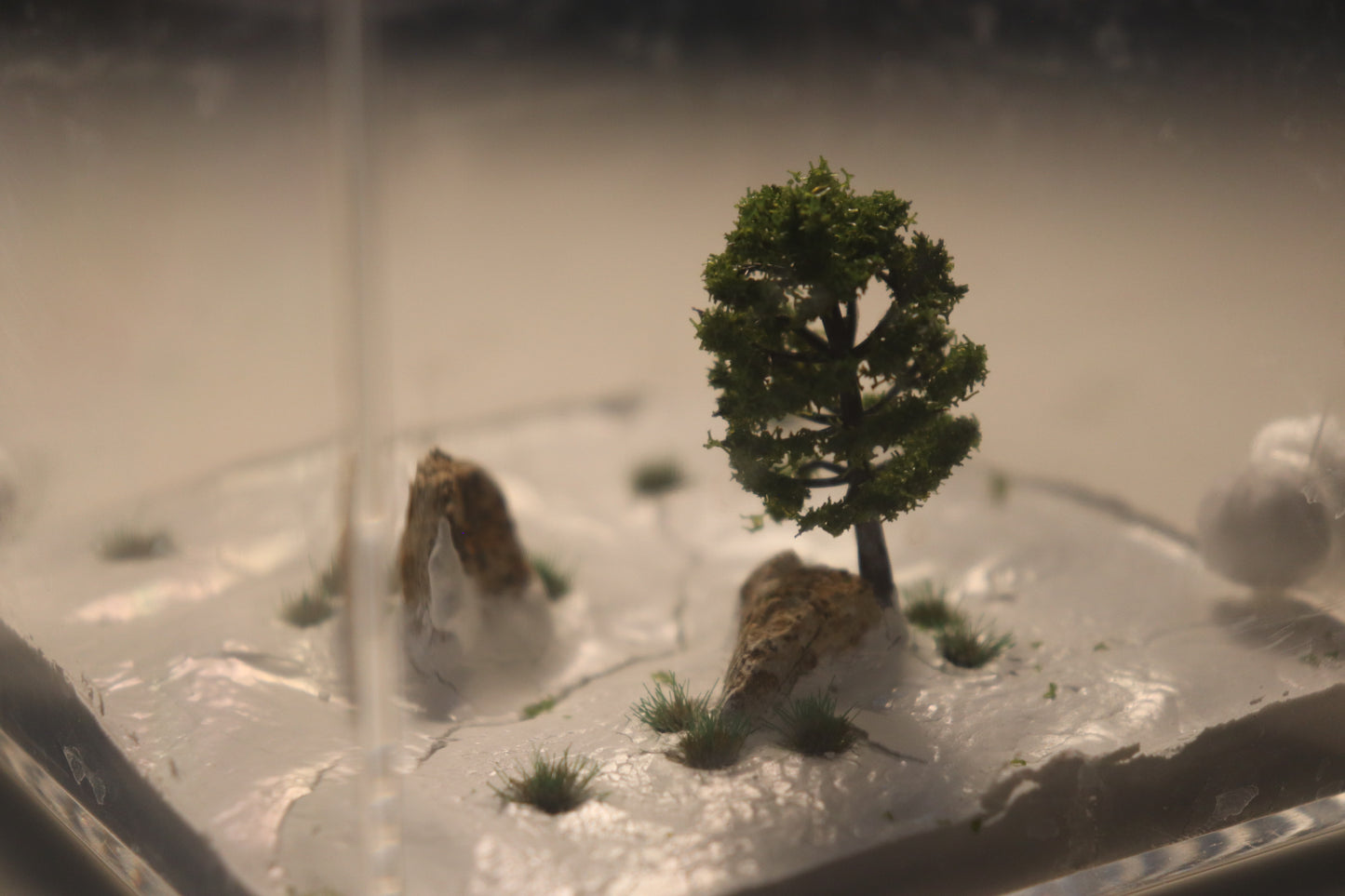 Taiga Outworld: Frostveil Fissure