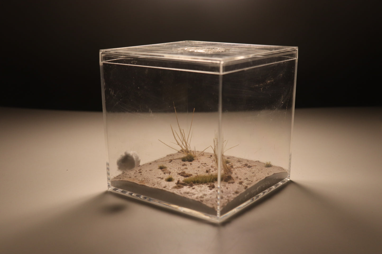 Arid Desert Outworld: