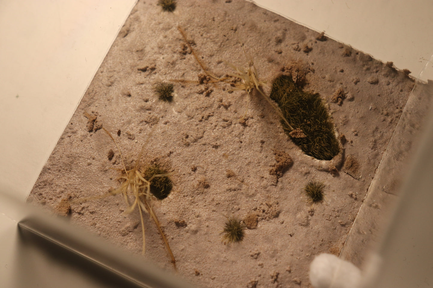 Arid Desert Outworld: