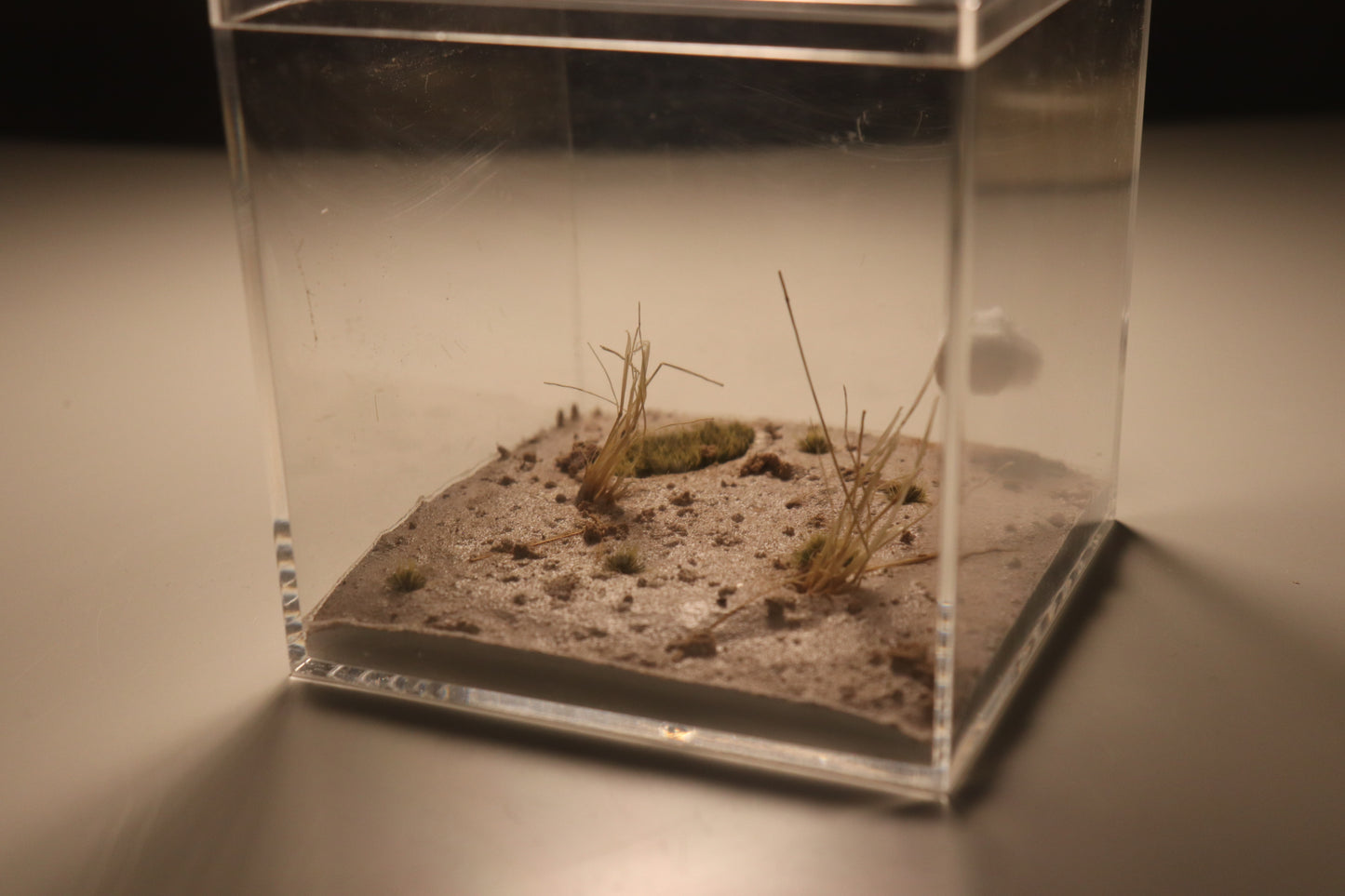 Arid Desert Outworld:
