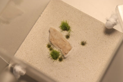 Dunefield Outworld: Ancient Stone "Flats"