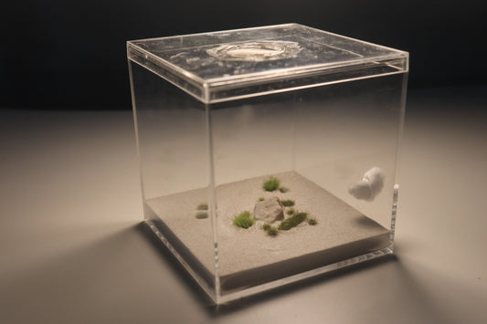 Dunefield Outworld: Ancient Stone "Overgrown"