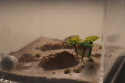 Arid Desert Outworld: Crest of Atlas
