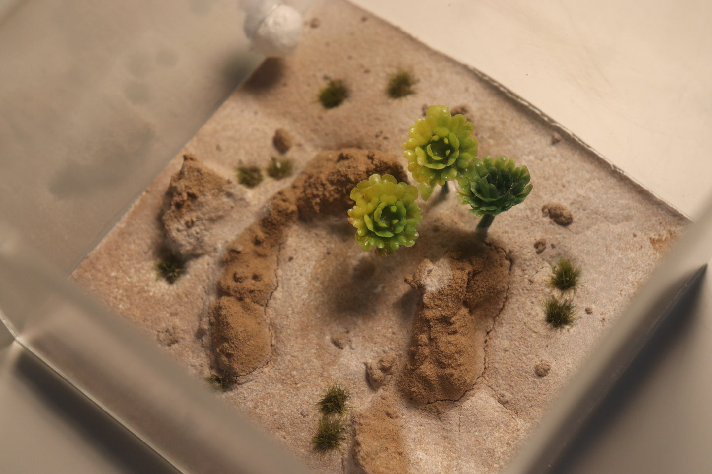 Arid Desert Outworld: Crest of Atlas