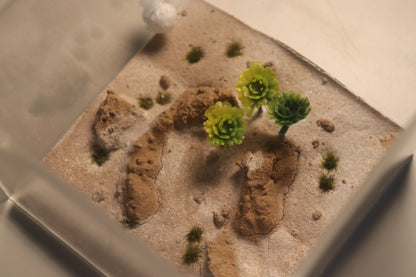 Arid Desert Outworld: Crest of Atlas