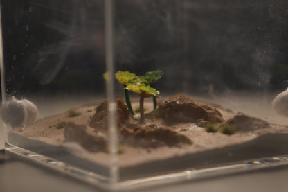 Arid Desert Outworld: Crest of Atlas