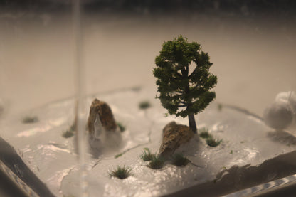 Taiga Outworld: Frostveil Fissure