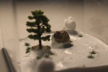 Taiga Outworld: Frostveil Fissure