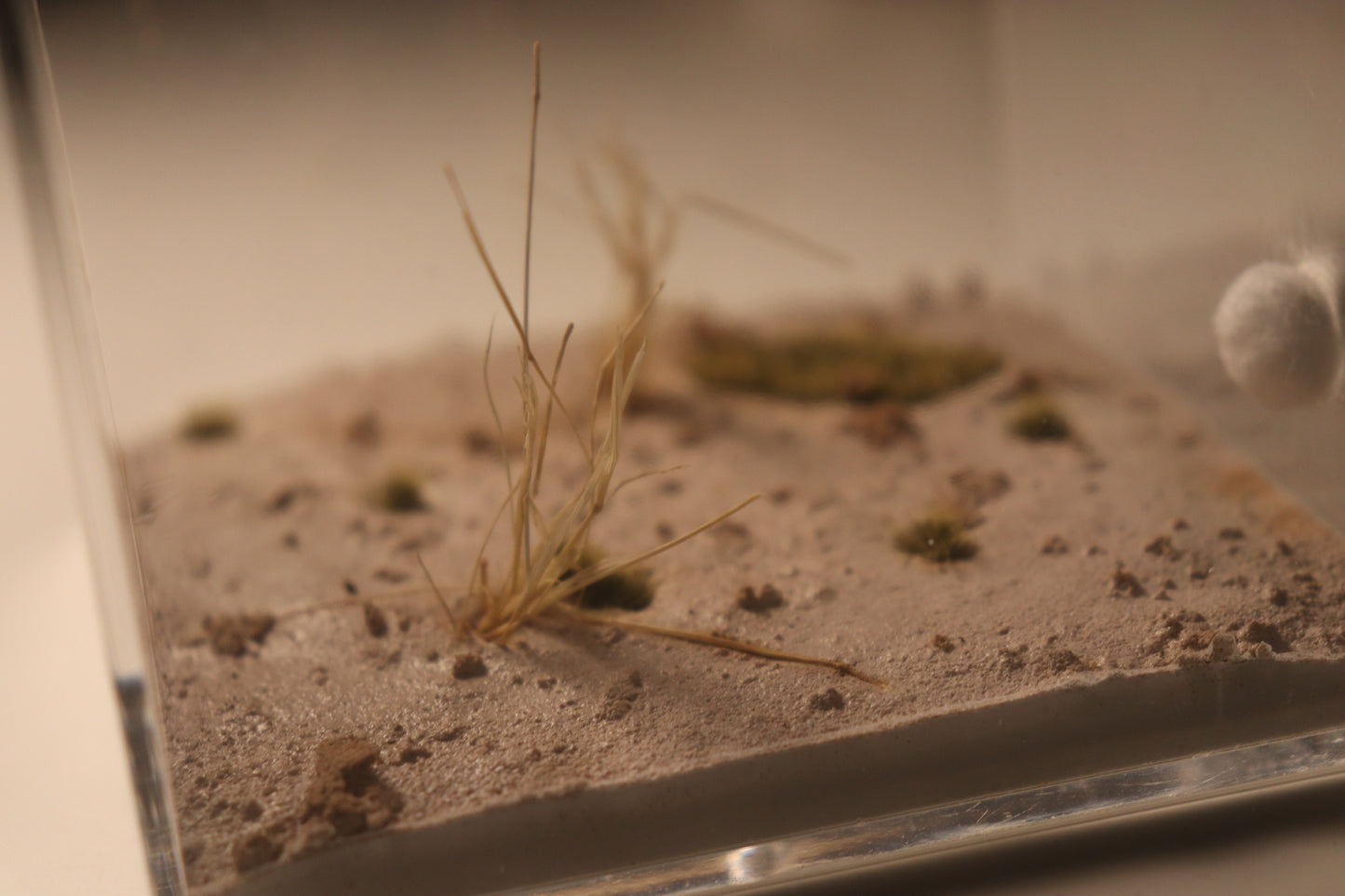 Arid Desert Outworld: