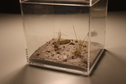Arid Desert Outworld: